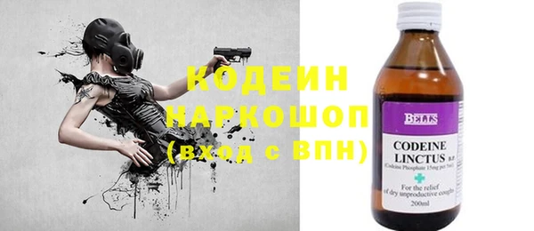 дмт Пересвет