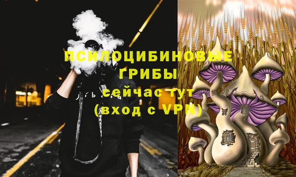 дмт Пересвет