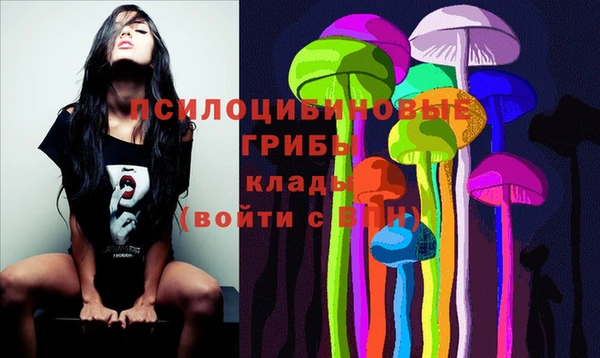 бошки Пестово