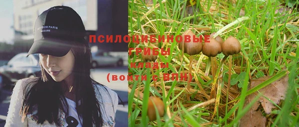 бошки Пестово