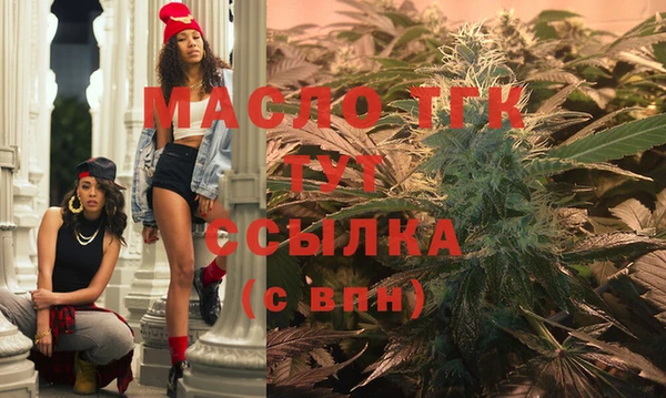 дмт Пересвет