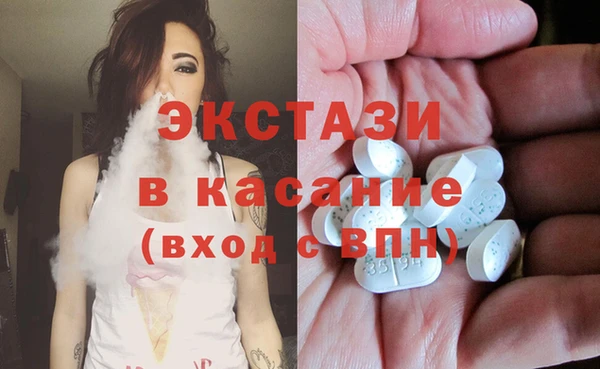 дмт Пересвет