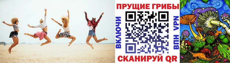 Псилоцибиновые грибы прущие грибы  цена   Тимашёвск 
